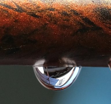 Reflexion im Wassertropfen